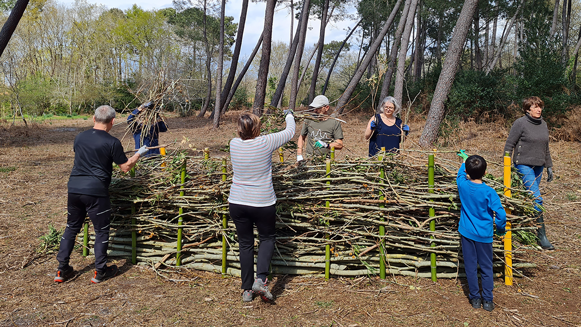 Fabrication d'une haie sèche pour la biodiversité