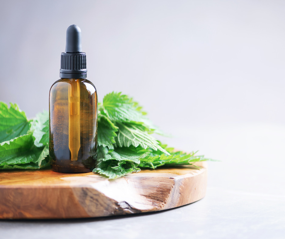 Atelier Naturopathie