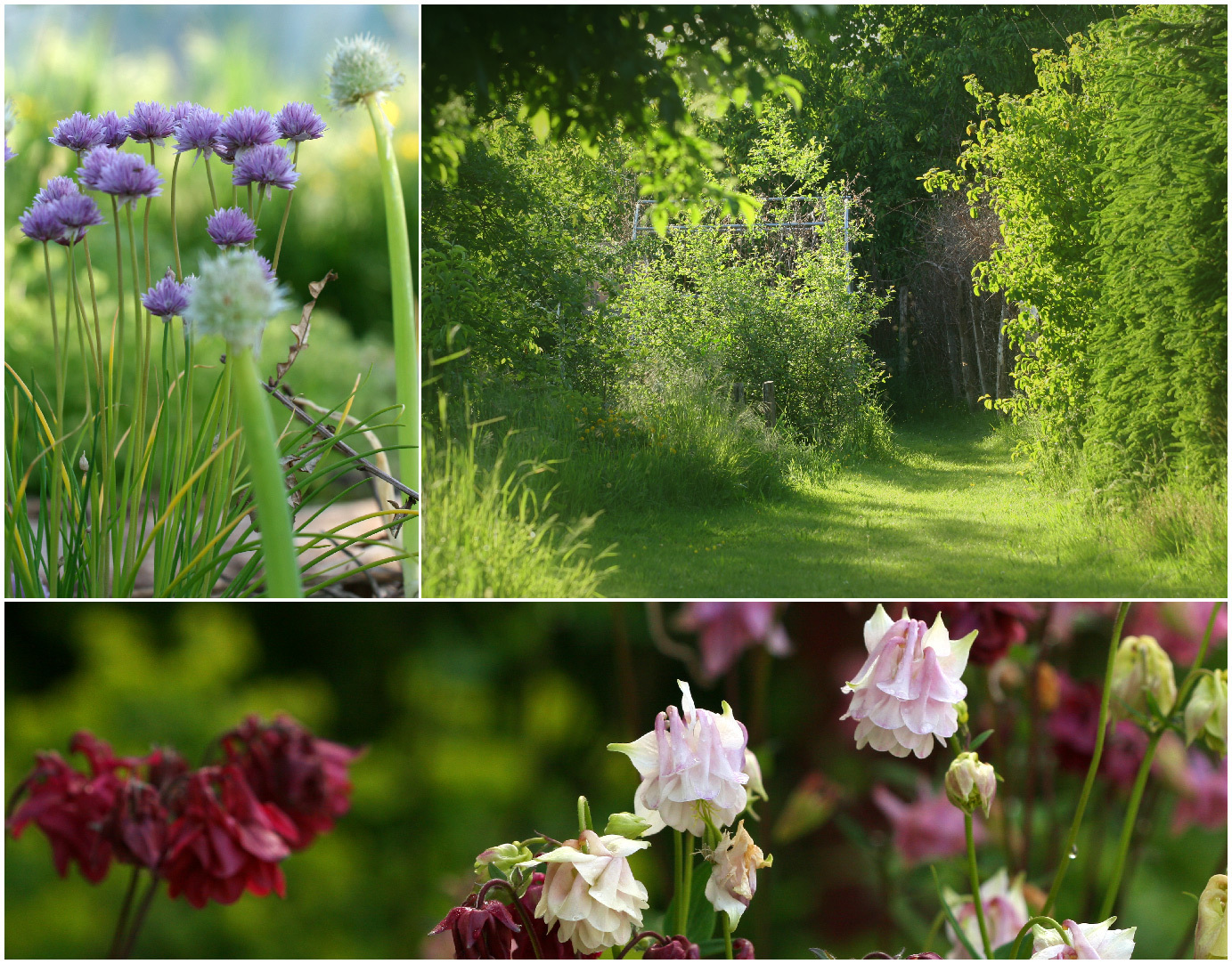 Visite guidée d'un jardin naturaliste