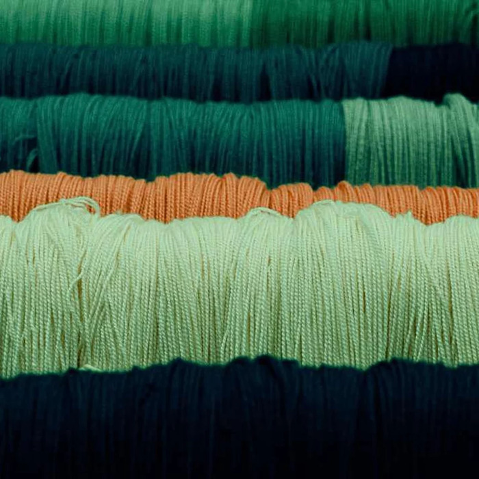 Atelier de teinture                           « Recherche colorée »