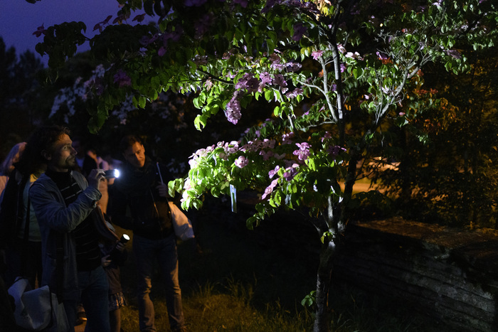 Visite nocturne du Jardin botanique