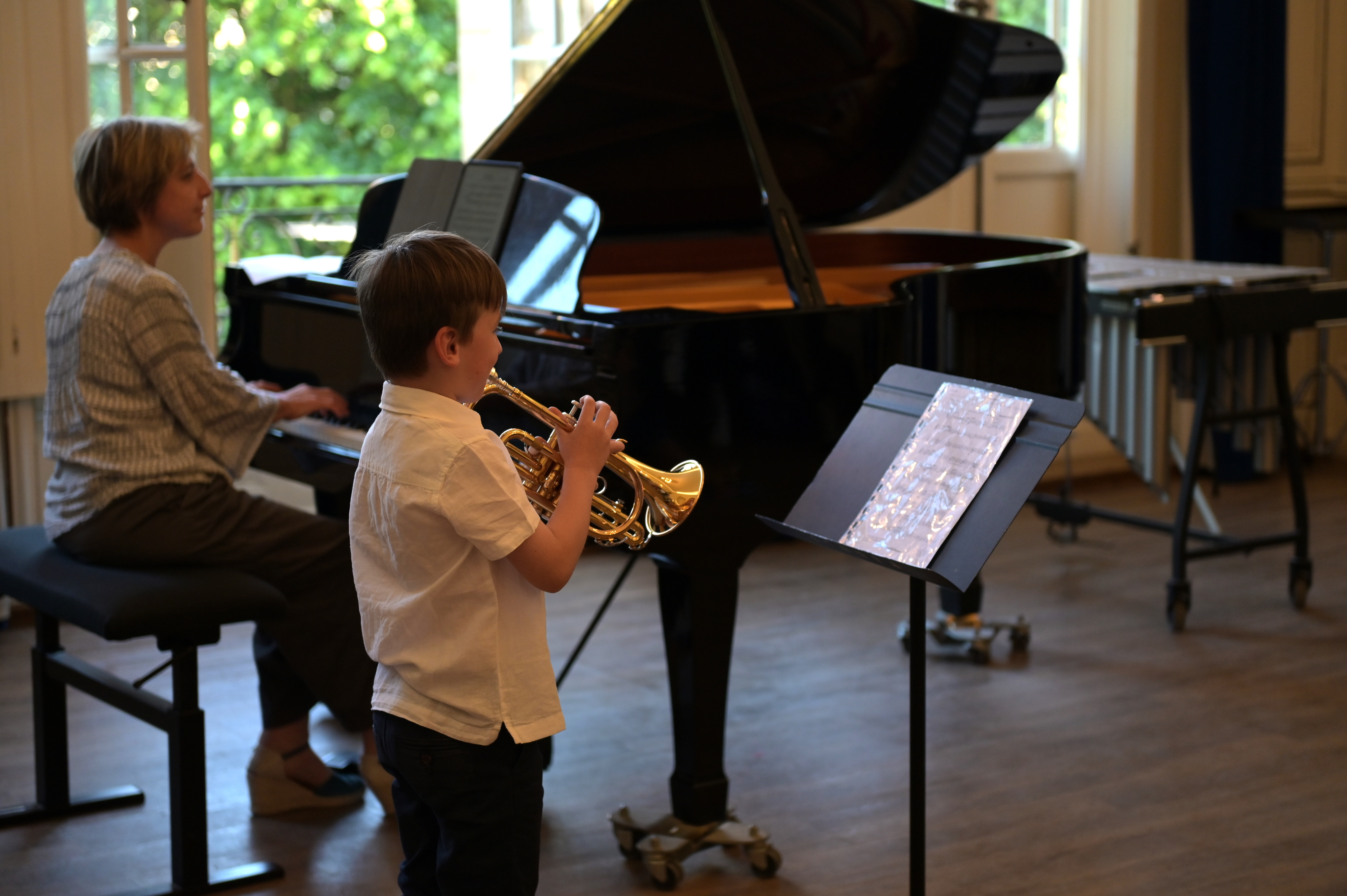 Salon de musique - Versailles