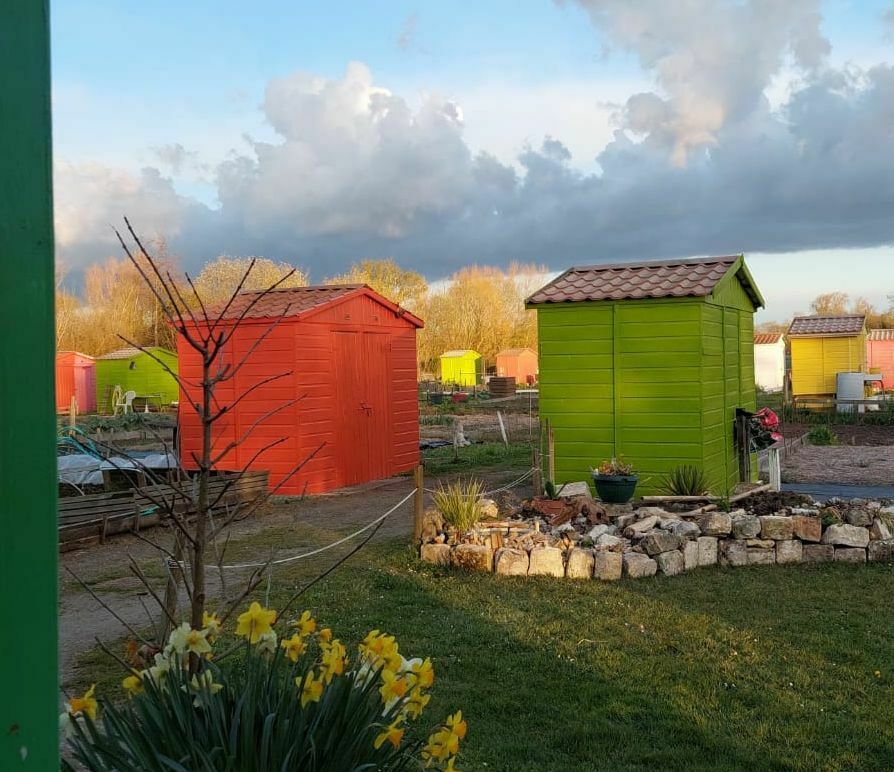 Découverte des jardins potagers familiaux