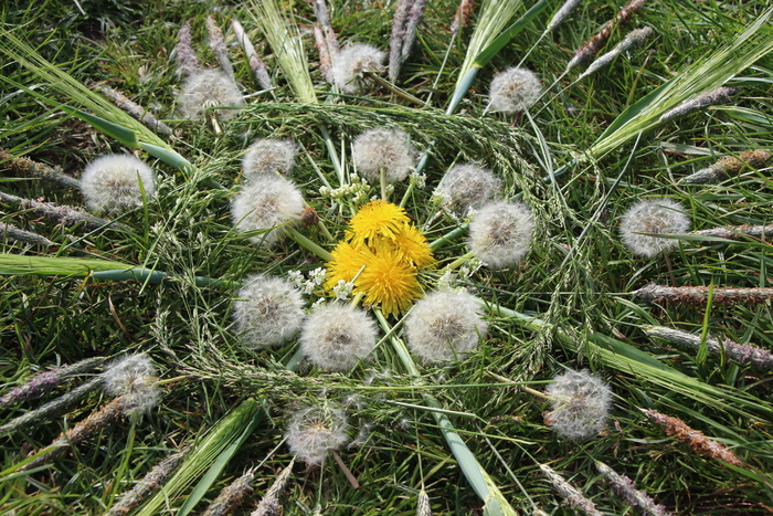 ATELIER / Découvrez les trésors cachés dans la nature et réalisez seul, ou à plusieurs, une oeuvre à contempler.