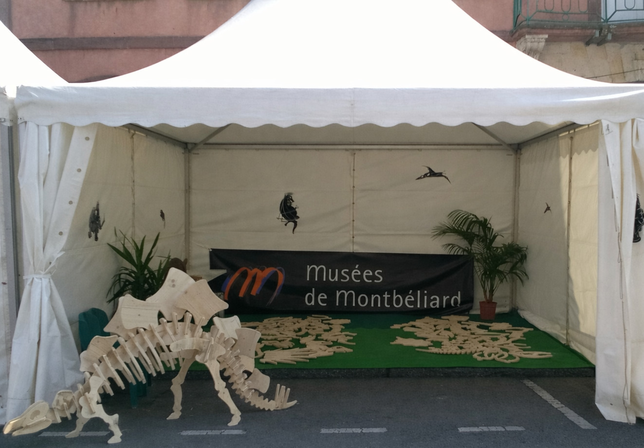 Atelier découverte « Dino-puzzle »