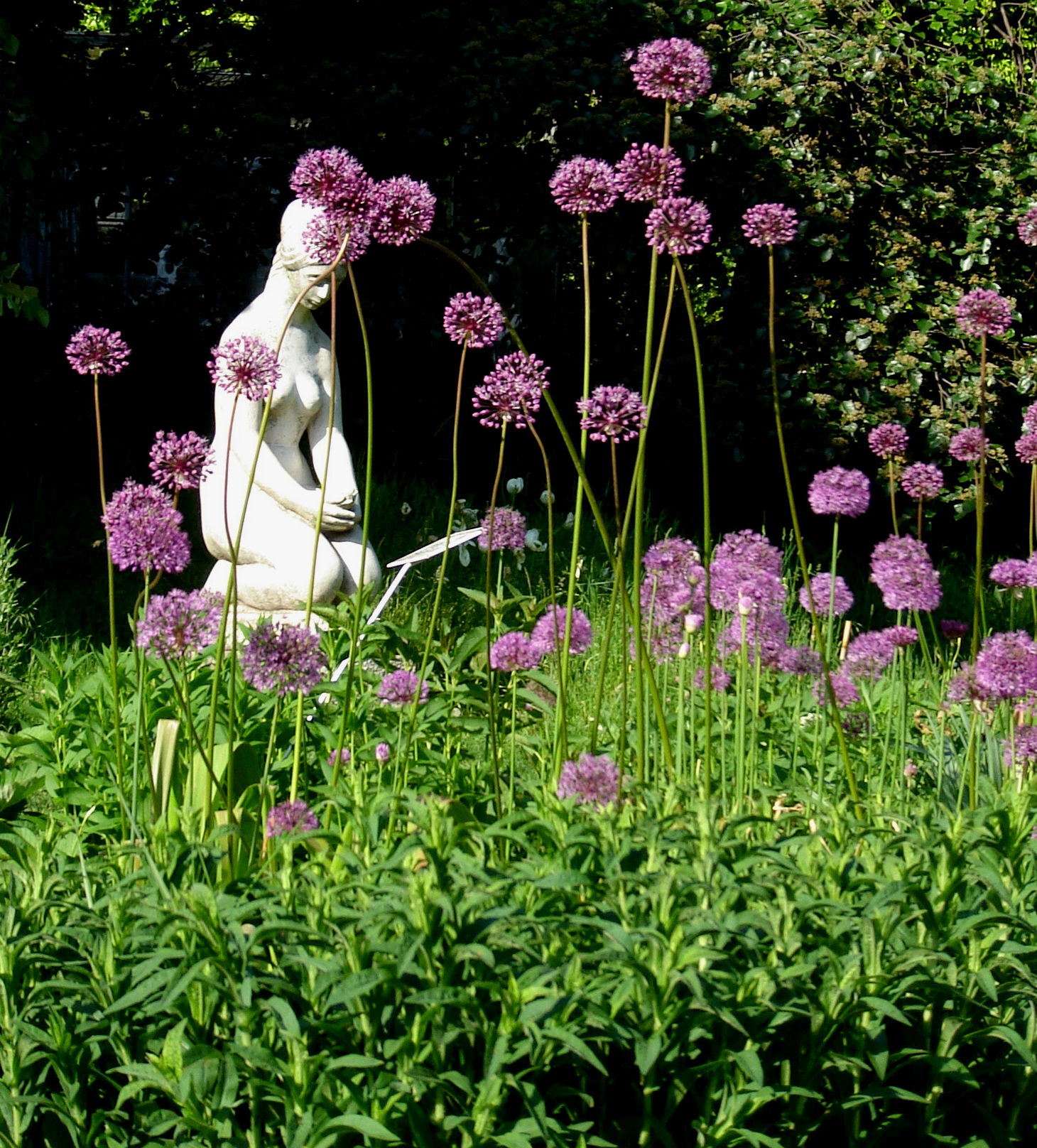 Visite guidée de l’arboretum de Buda