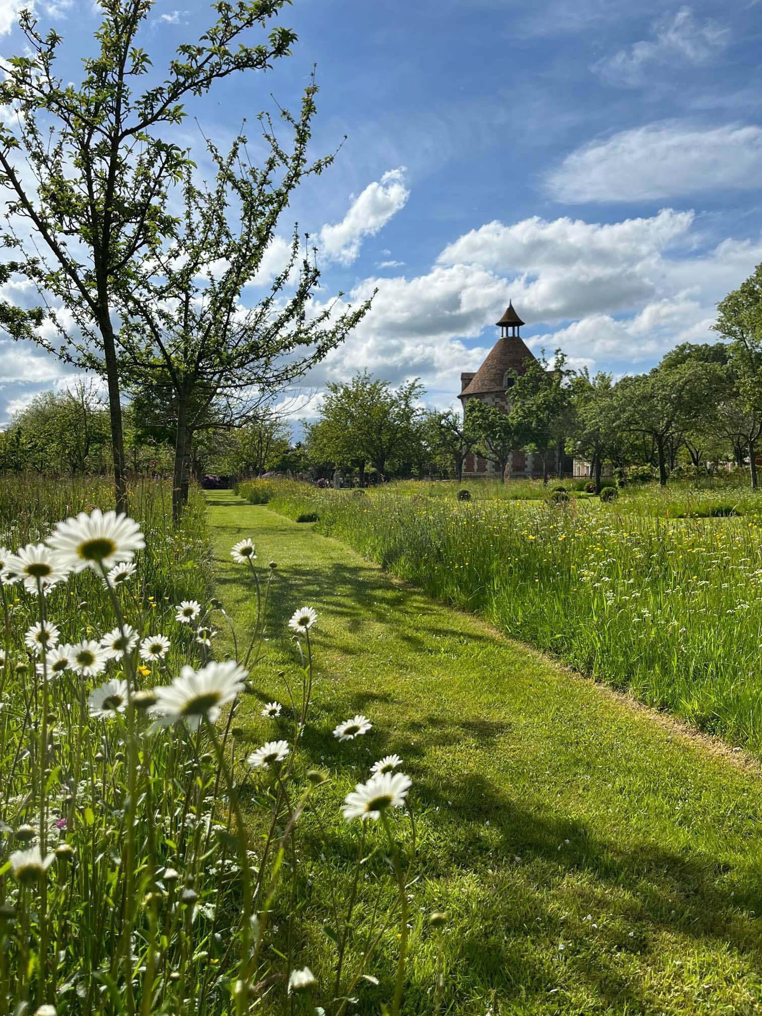 Visite libre : découverte printanière des jardins du parc du château