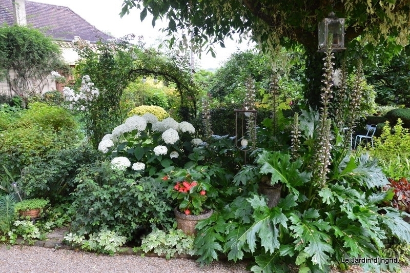 Découverte d'un jardin champêtre et romantique