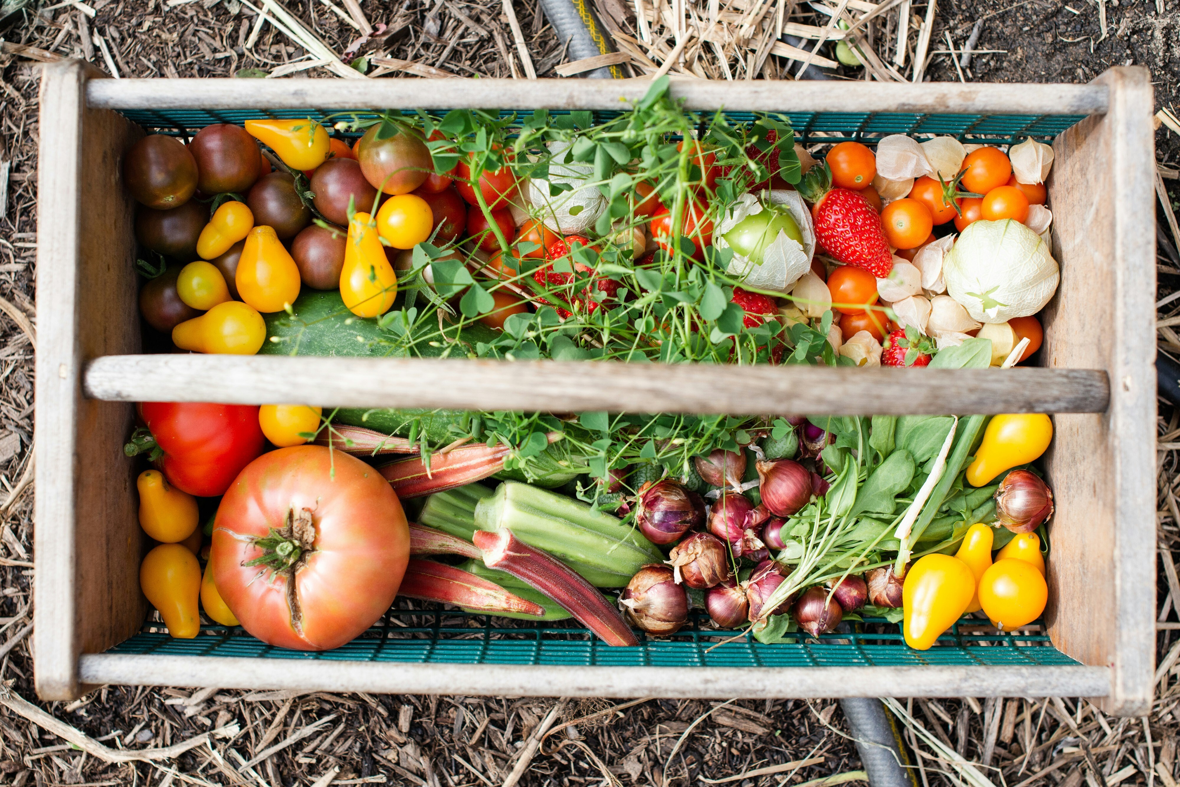 Repas-débat : vers une sécurité sociale de l’alimentation ?