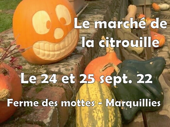 Fête de la citrouille