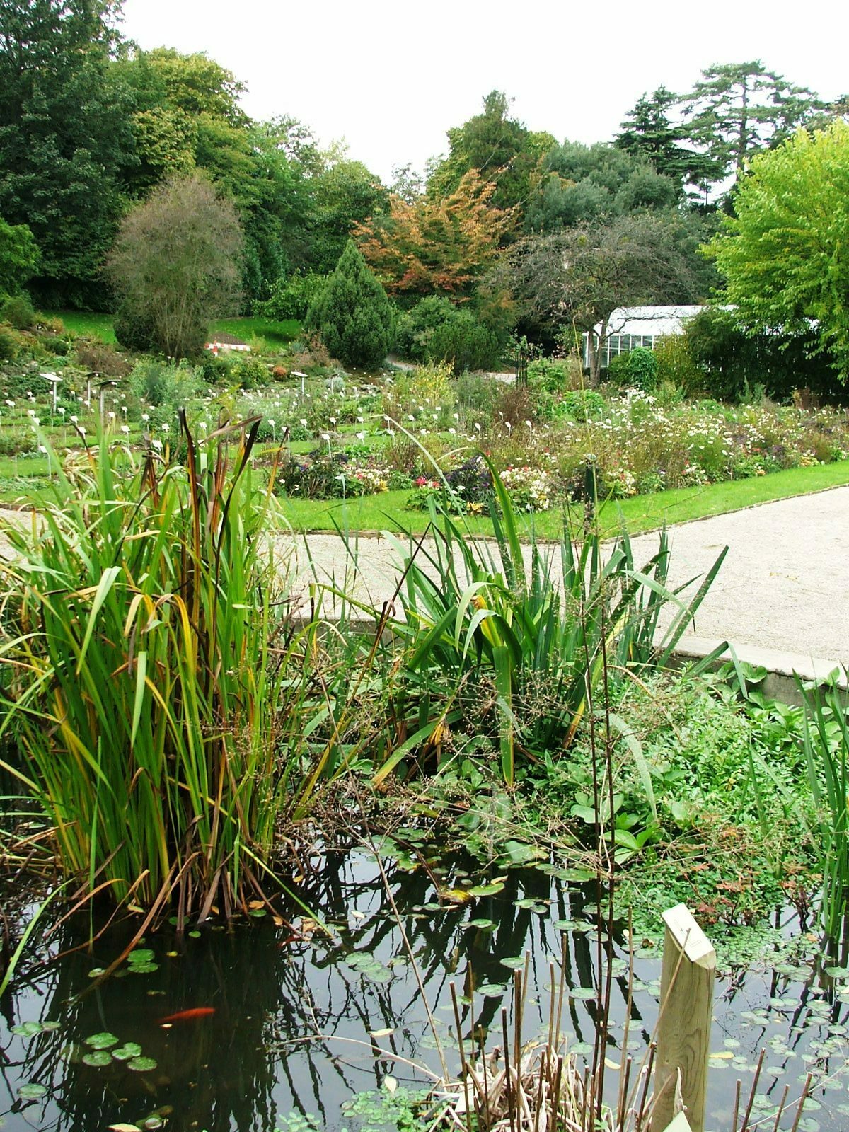 Visite guidée découverte historique et sensorielle du jardin des plantes