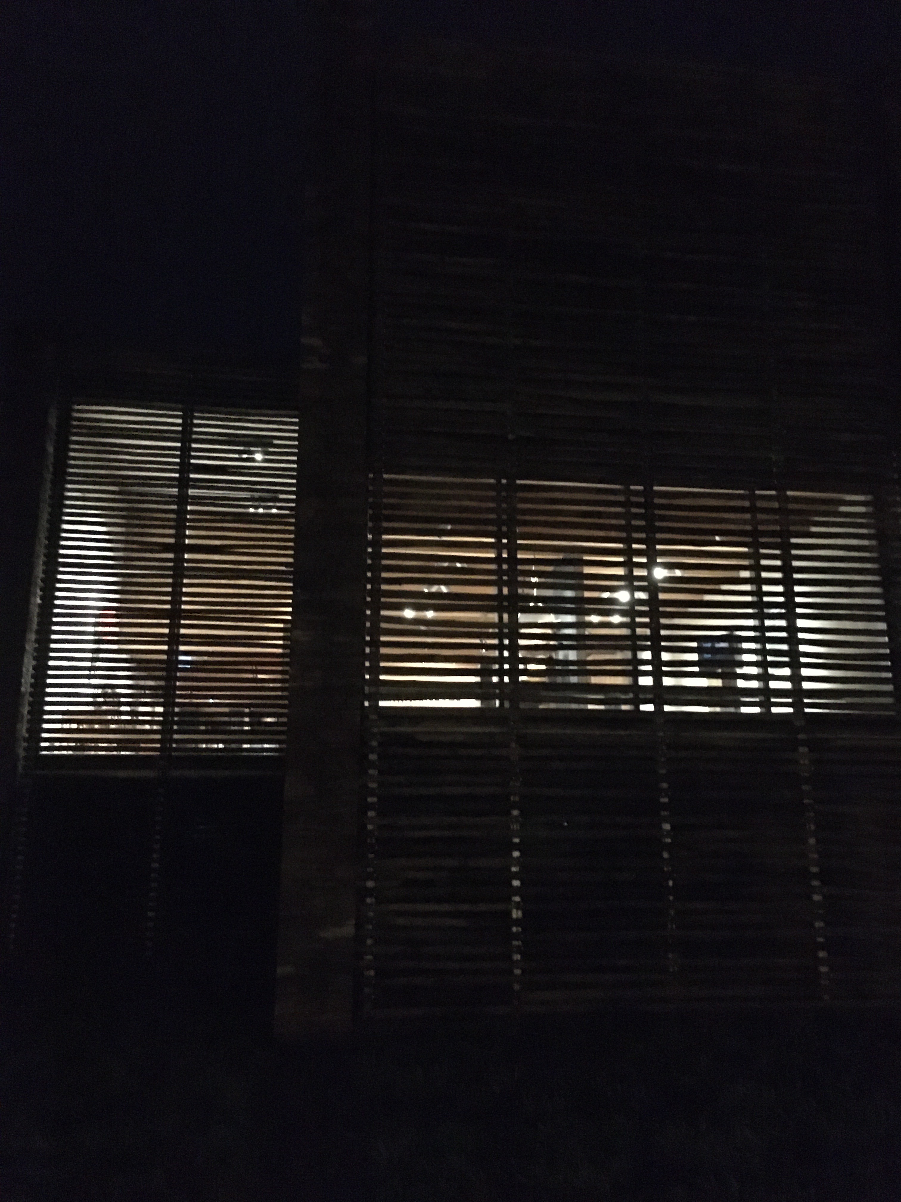 la nuit des pichounets