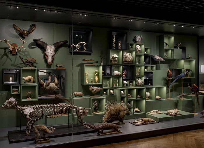 Musée zoologique