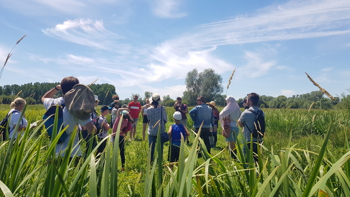 Marais du Trait