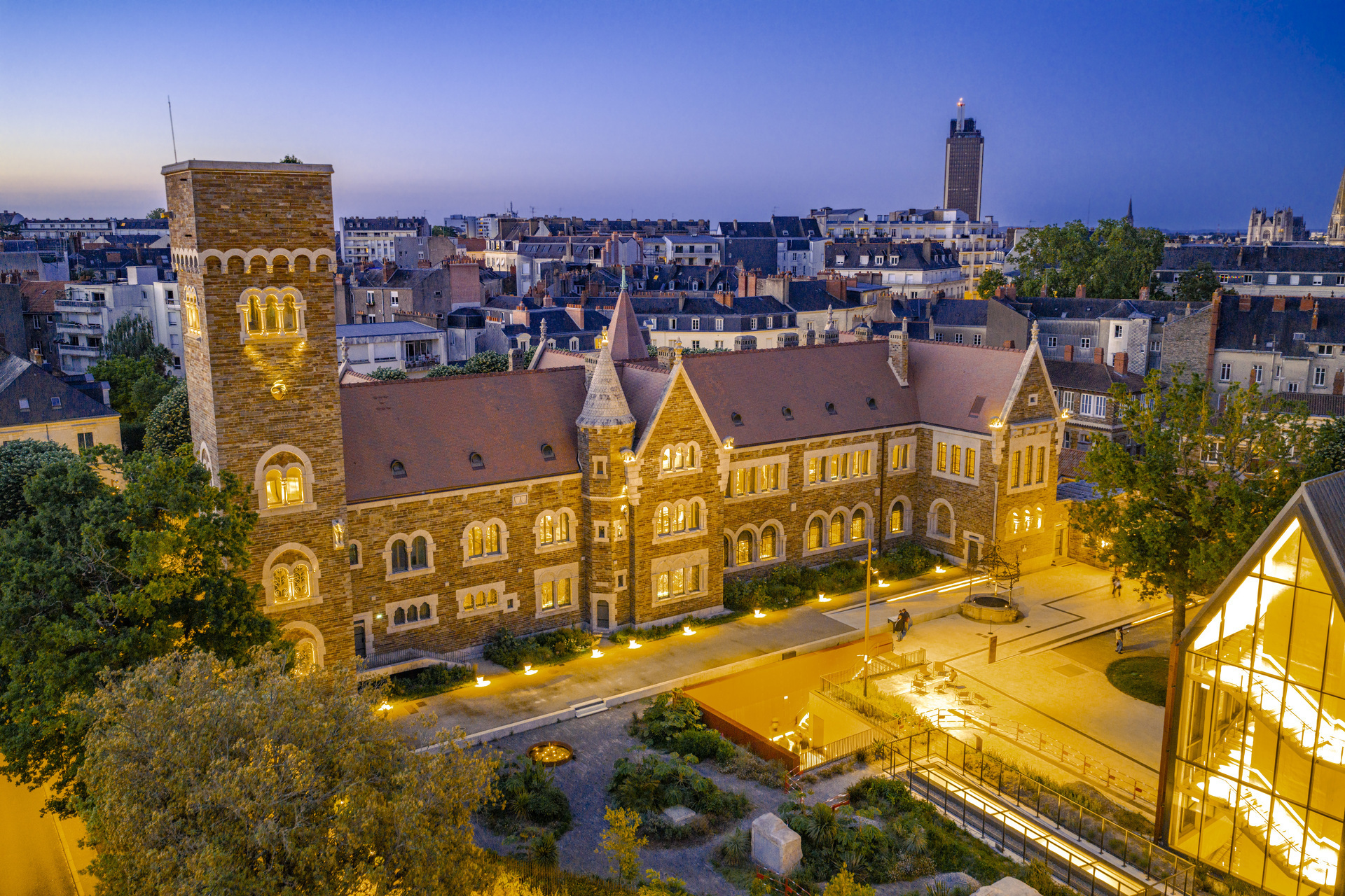 Cultivez votre curiosité de nuit au Musée !