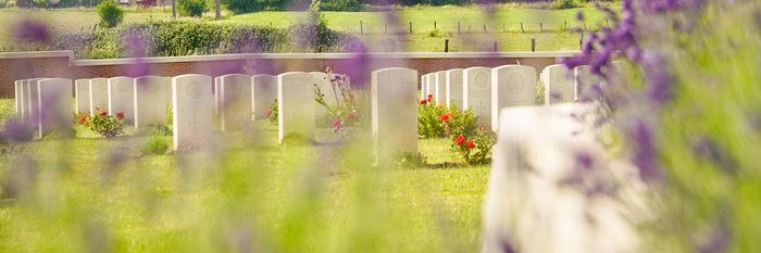 Visite Guidée "Découverte de la Flore du Cimetière militaire de Pheasant Wood"