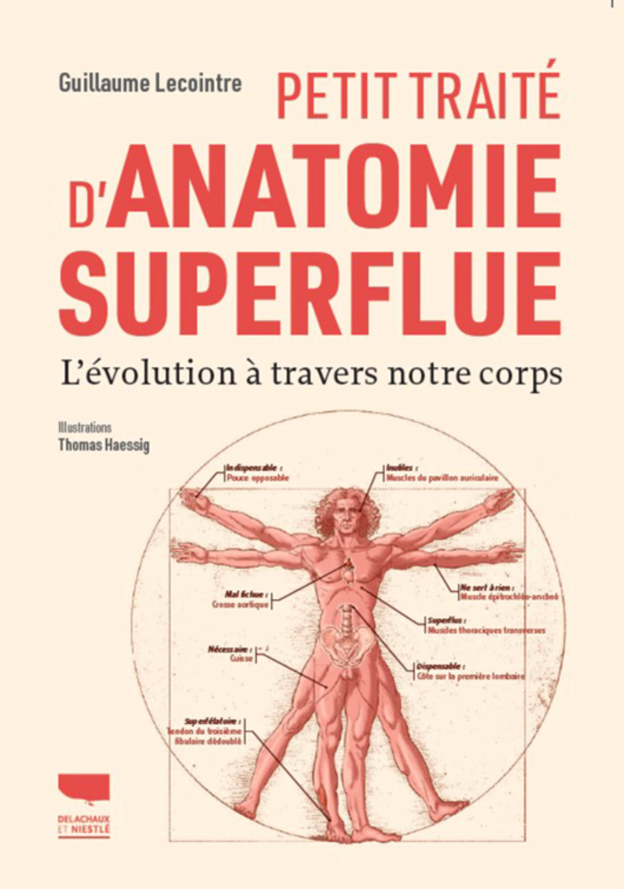 L'ÉMERGENCE DANS L'ÉVOLUTION BIOLOGIQUE