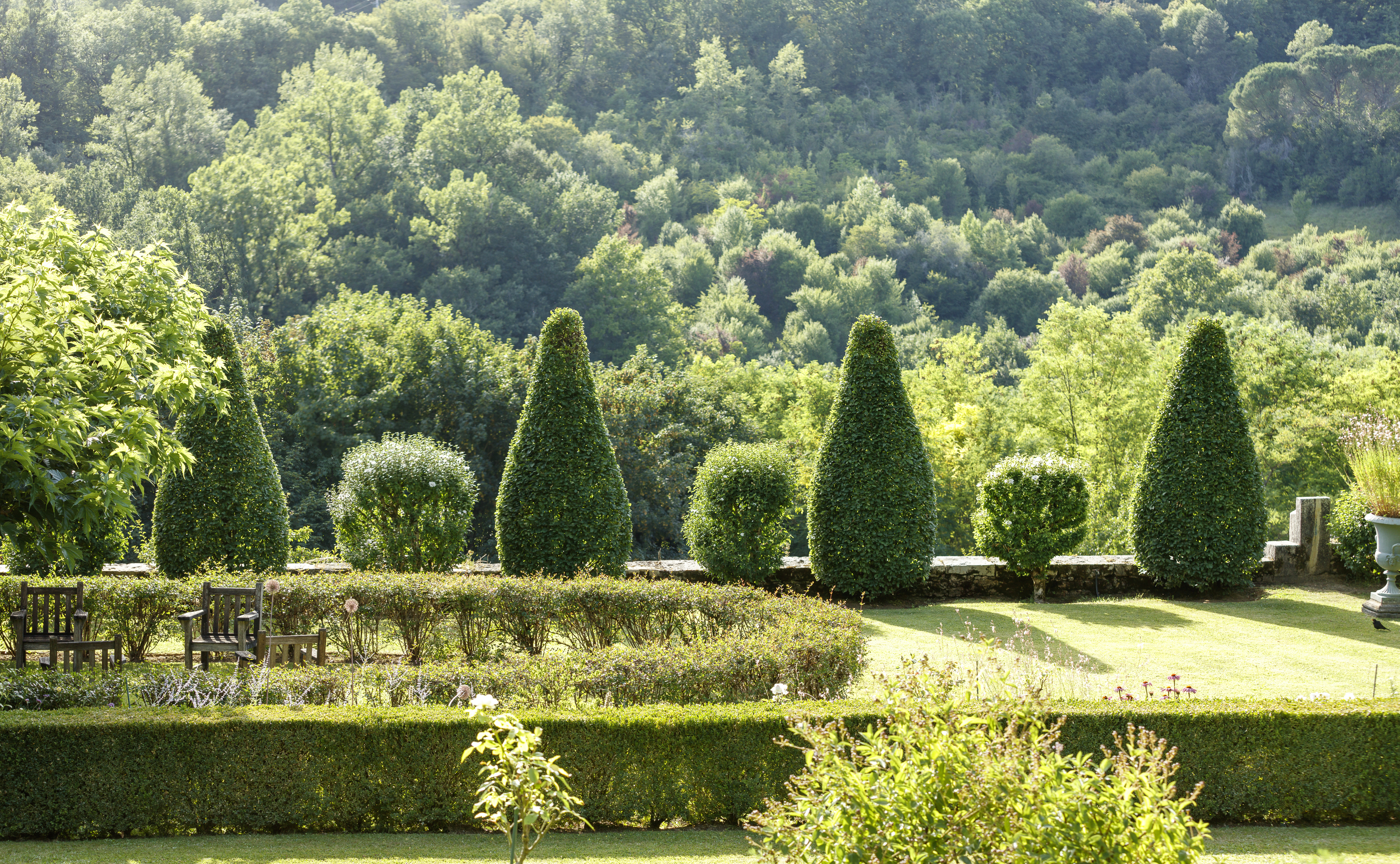 Voir sans être vu : les oiseaux du jardin