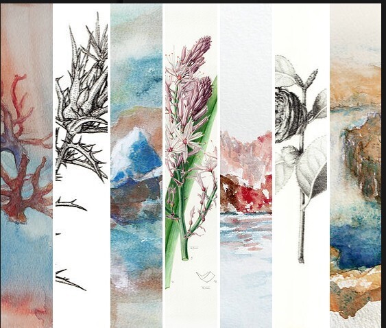 Atelier aquarelle botanique : couleurs et nuancier par Anita Hunor