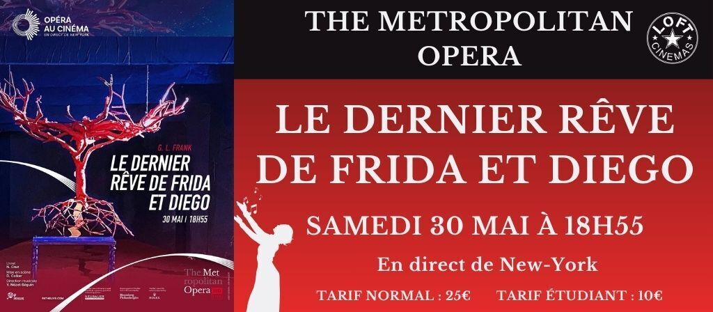 Le Dernier Rêve de Frida et Diego