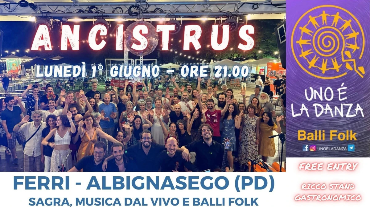 Ancistrus