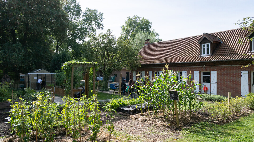 Gourmandises d'été