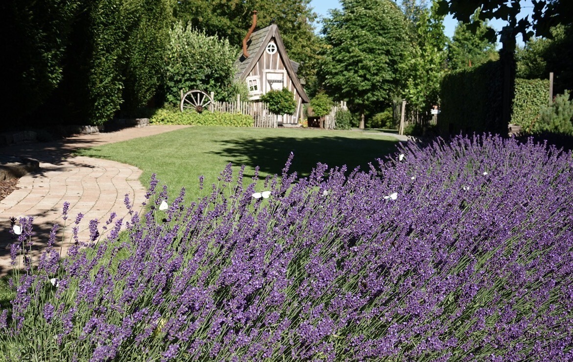 On se voit dans le jardin enchanté. Un regard sur les jardins des professionnels.