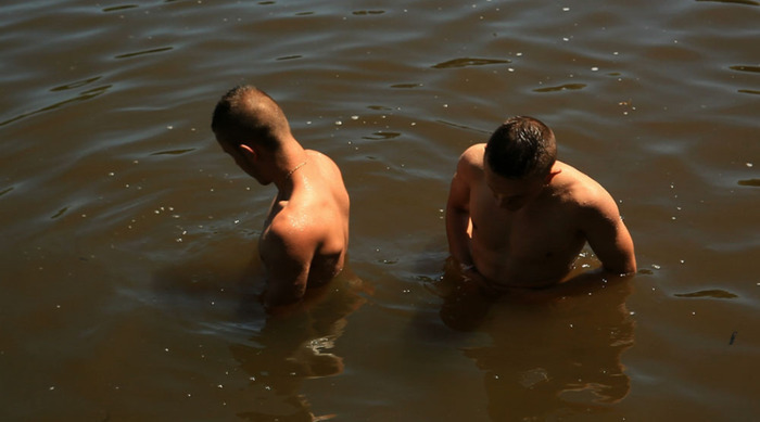 Ciné-rencontre : Pas comme des loups - L'hybride, Lille