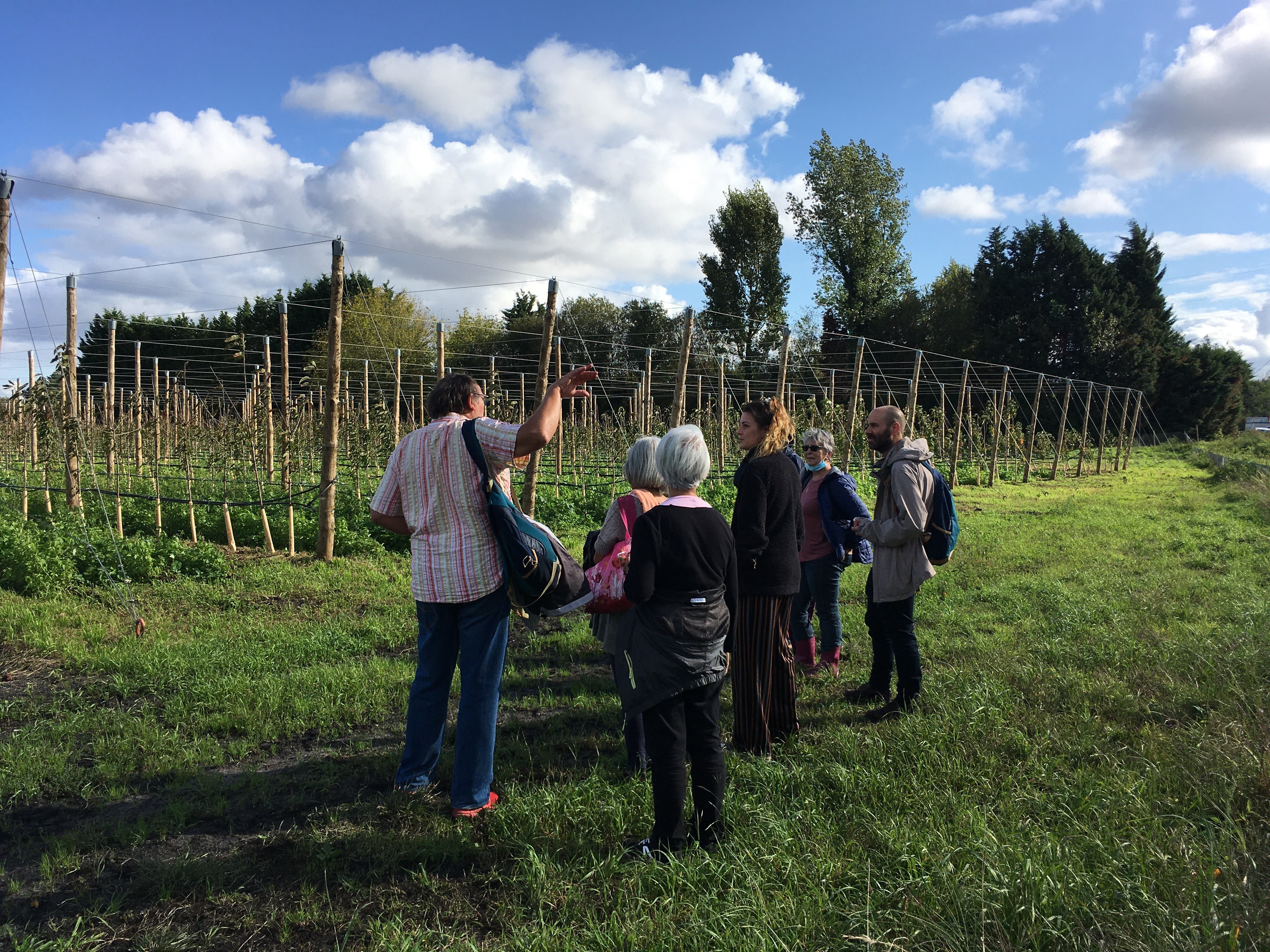 Visite de l'exploitation Fraisiflor (production de petits fruits)