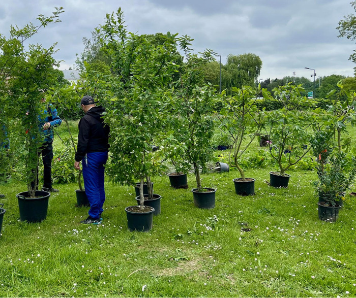 Plantation participative : Square des Techniques