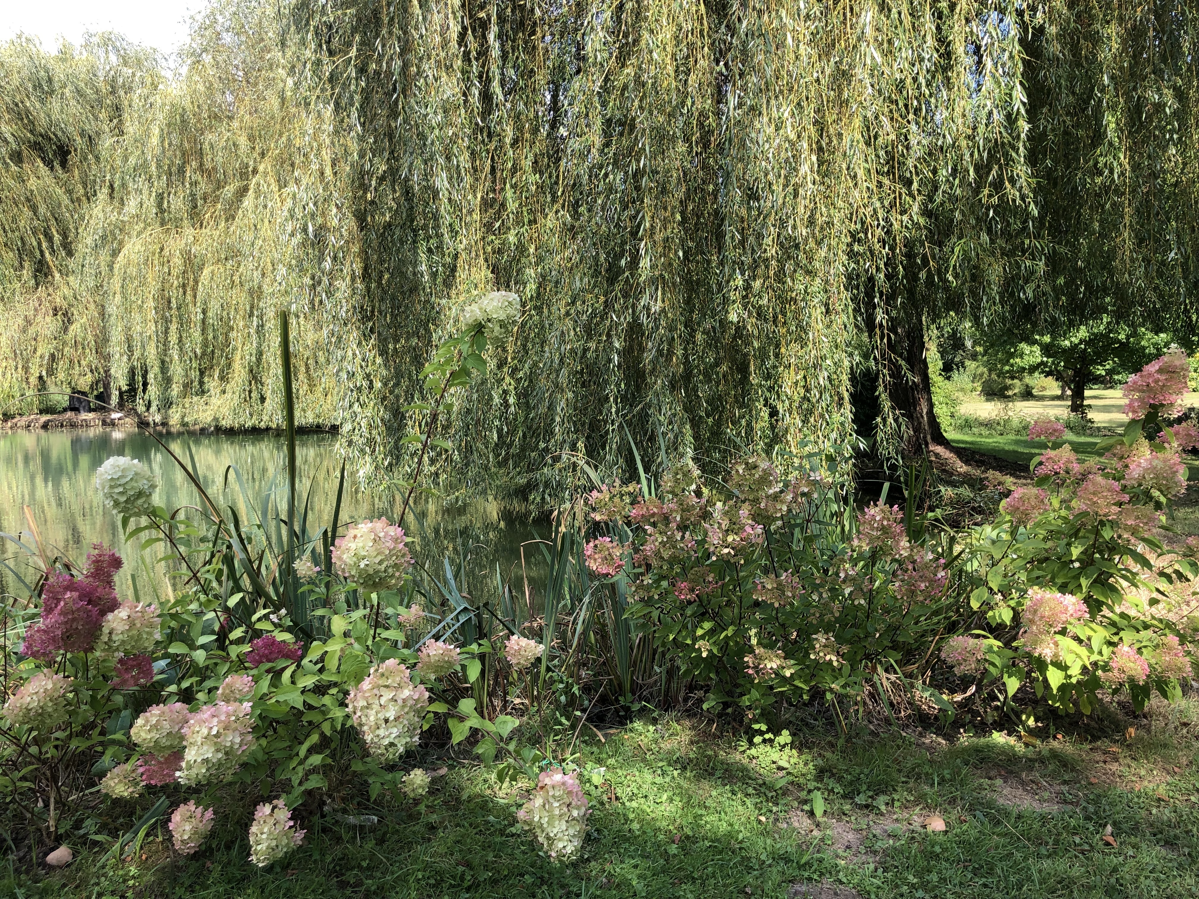Fête des jardins