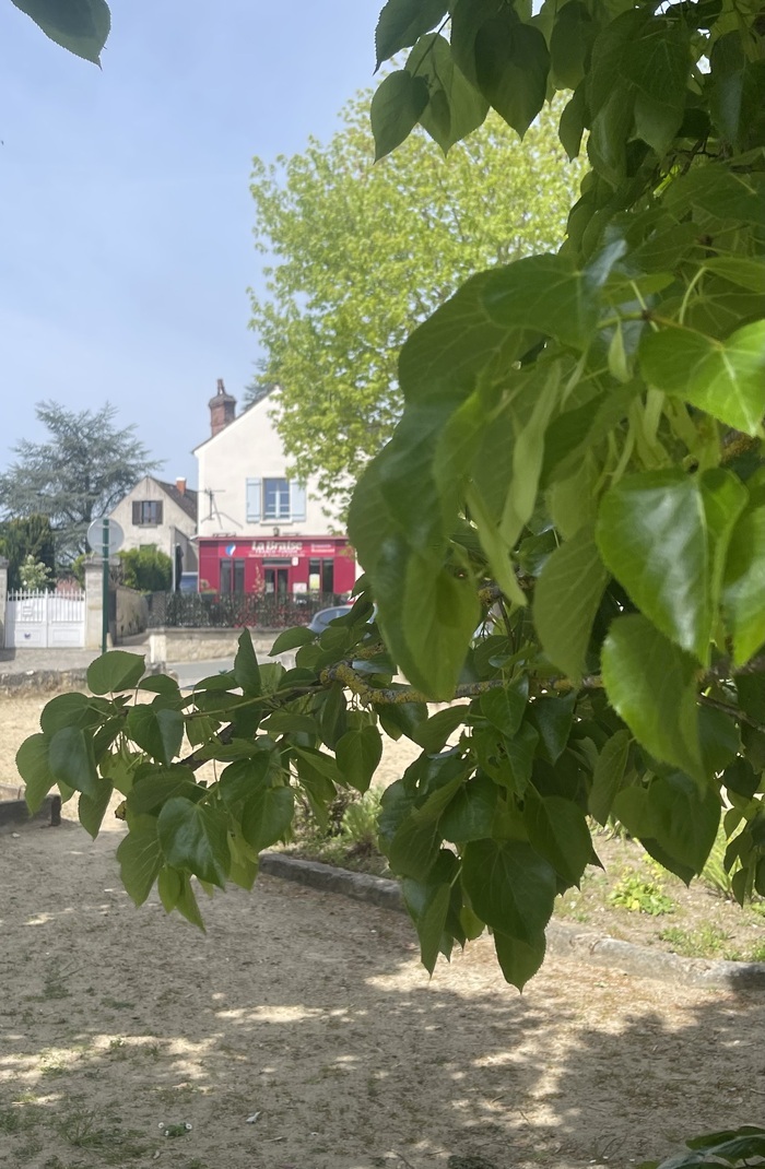 Place aux jardins