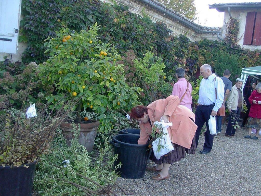 Distribution gratuite de graines et de boutures