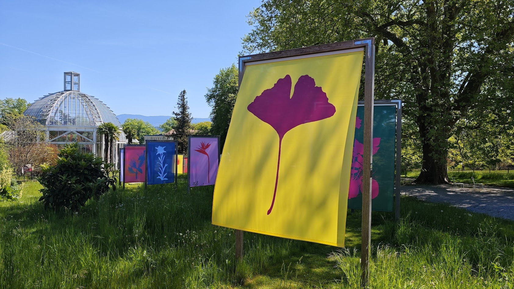 Hortus Botanicus Helveticus - 30 ans, 30 jardins, 30 espèces emblématiques