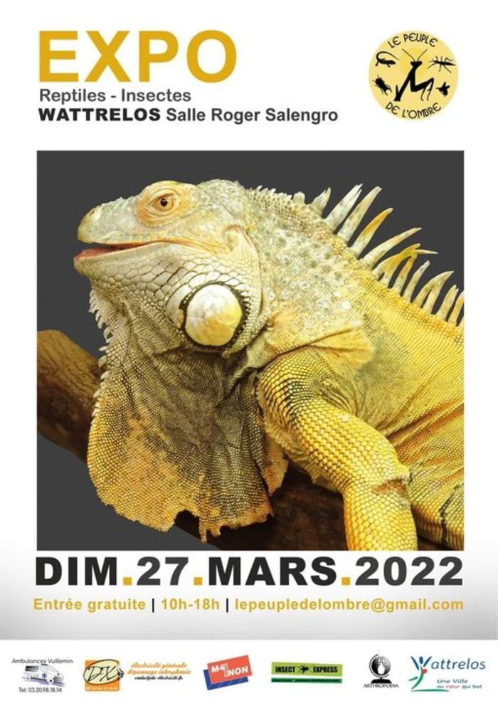 Exposition reptiles - insectes