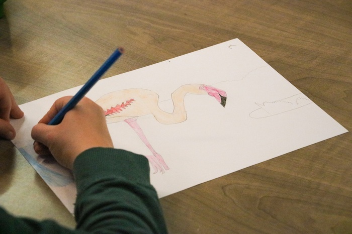 Atelier dessin au Mini-Lab