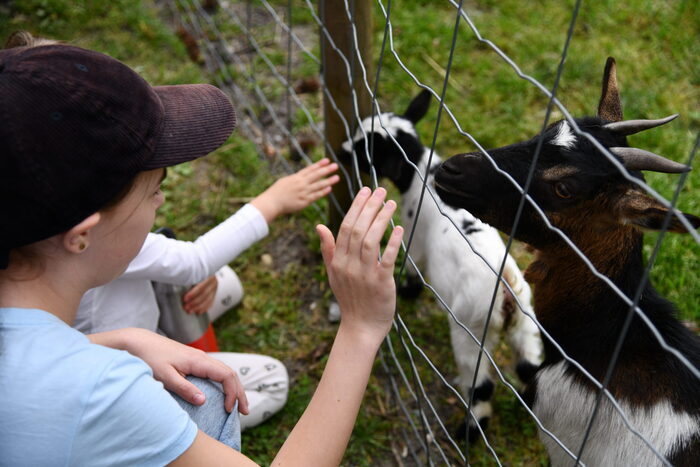 Ferme pédagogique de Martignas-sur-Jalle