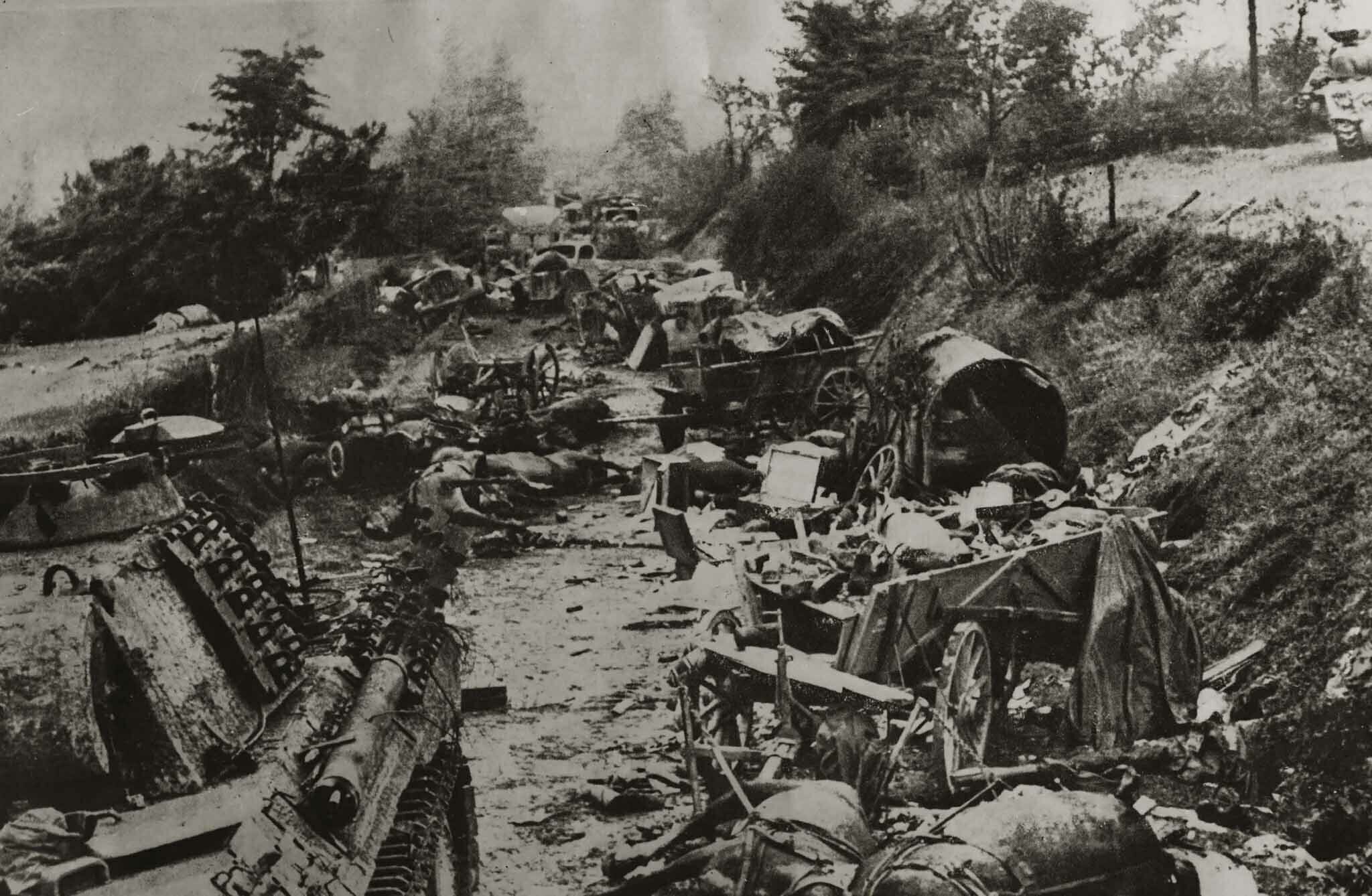 Visite guidée - La Poche de Falaise-Chambois
