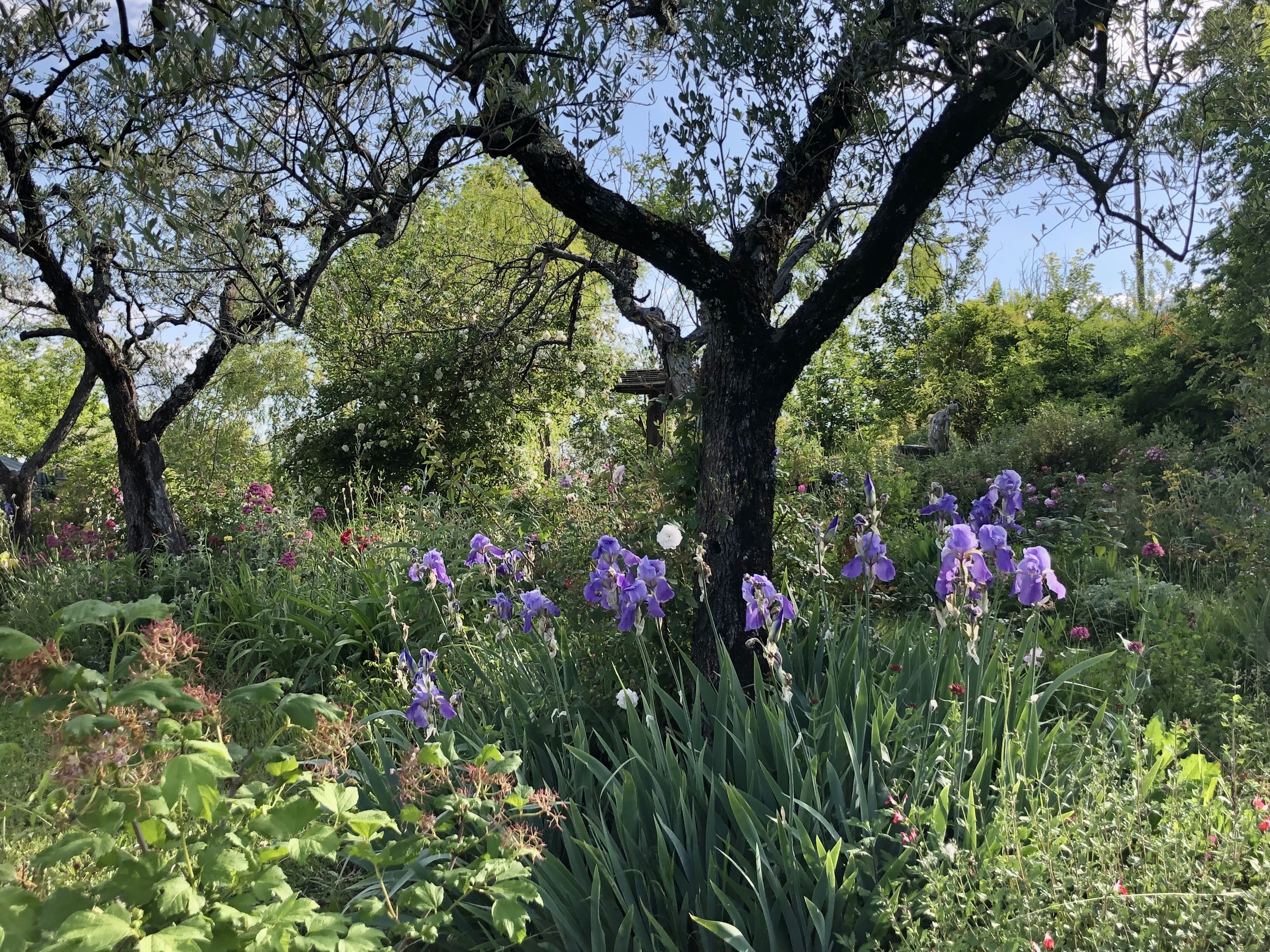 Au-delà des jardins - Visite du jardin Colle Mora - Montasola