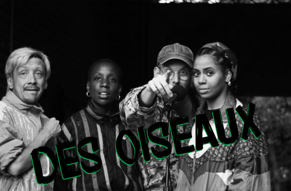 Des oiseaux