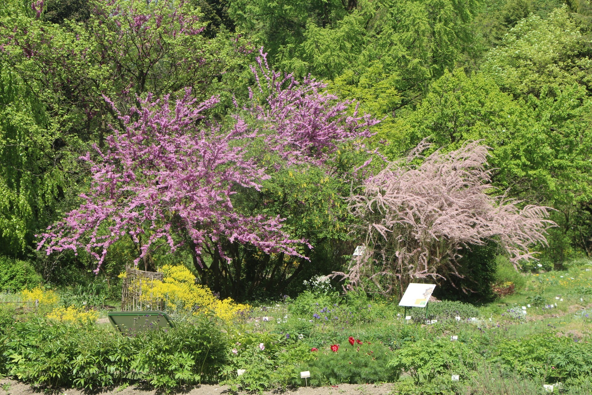 Les plus belles vues des jardins botaniques de l’université Ljubljana