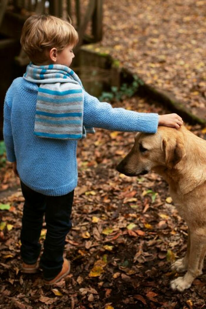 Atelier - rencontre : les bons gestes avec un chien