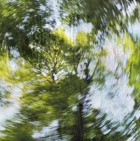 S'enforester- Introduction à la scénographie