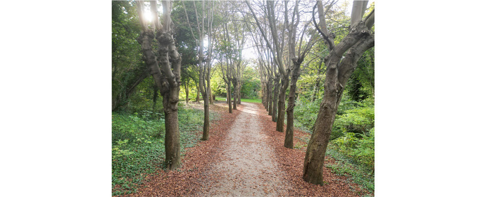 D'un versant à l'autre de la colline : ballade poétique et historique sur la Corniche des Forts