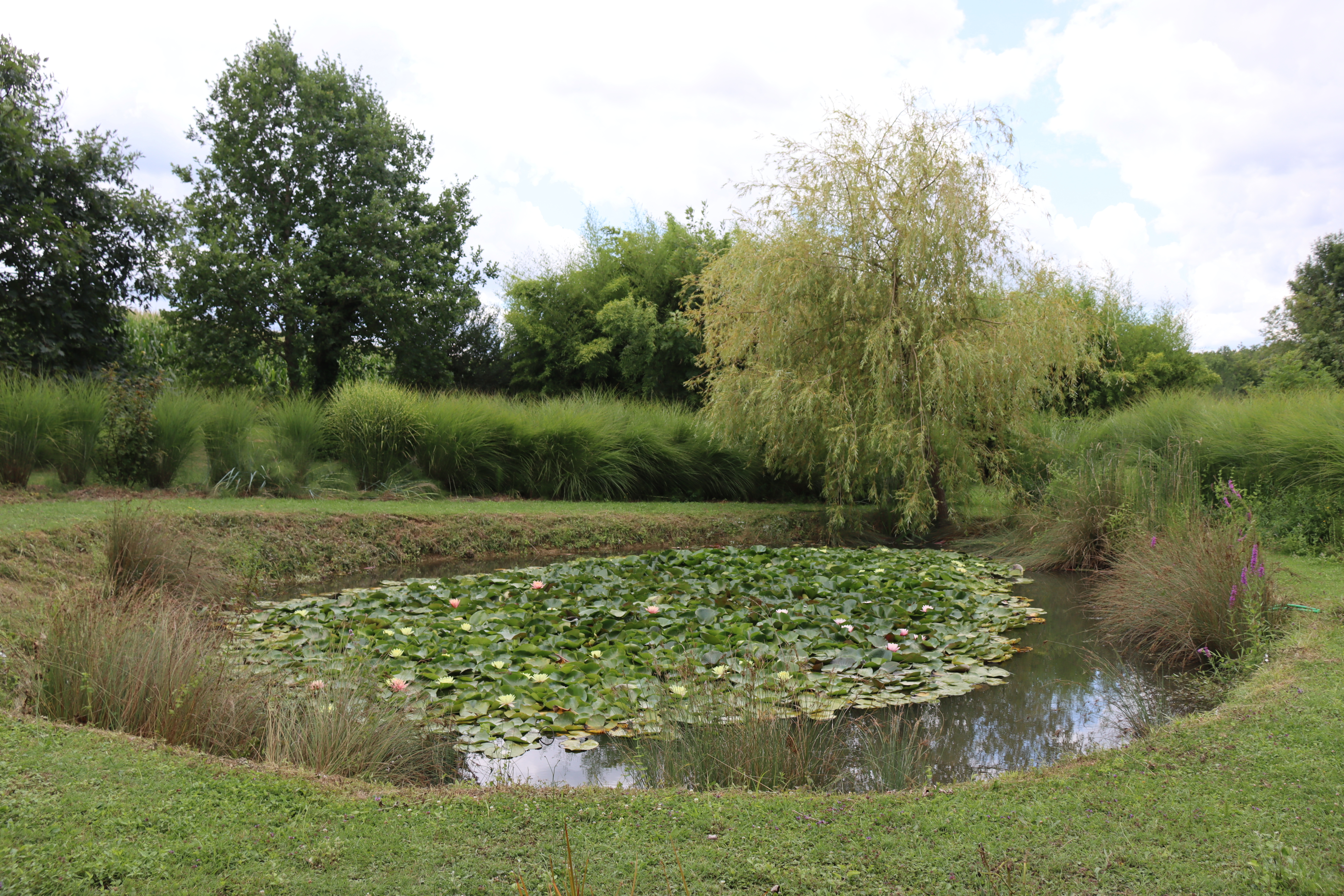 Visite du Jardin de la Goutte d'Eau