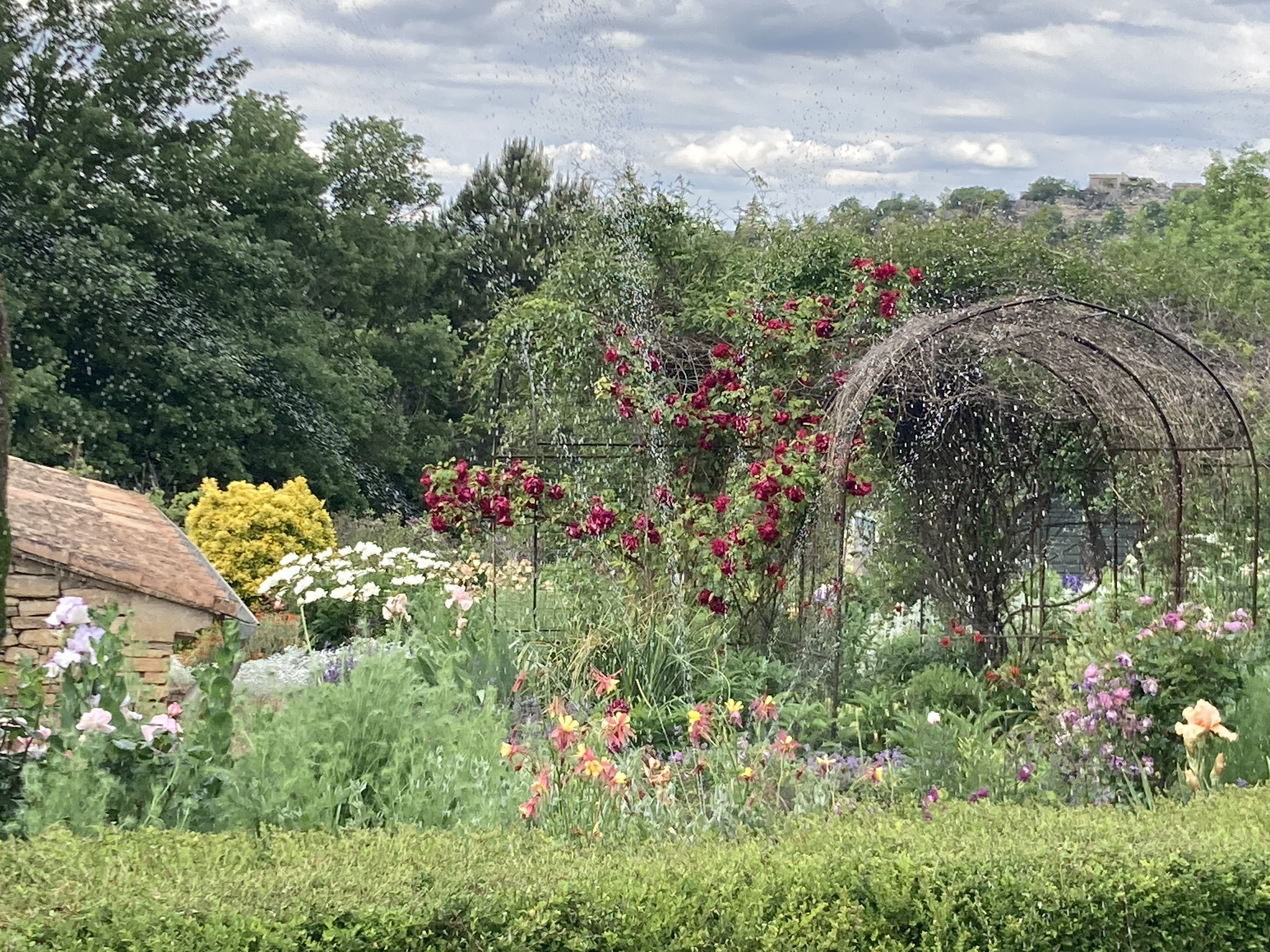 Visite d'un jardin Anglais