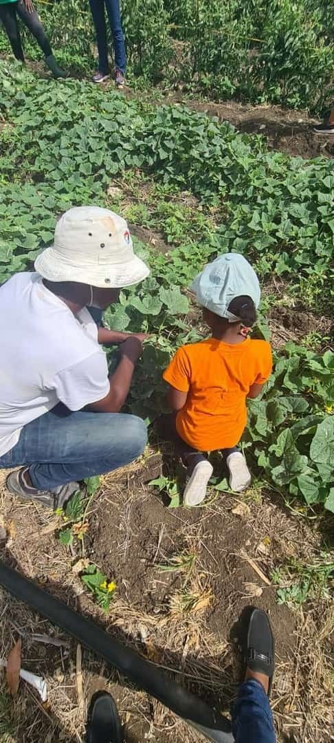 Visite pédagogique d'une exploitation agricole