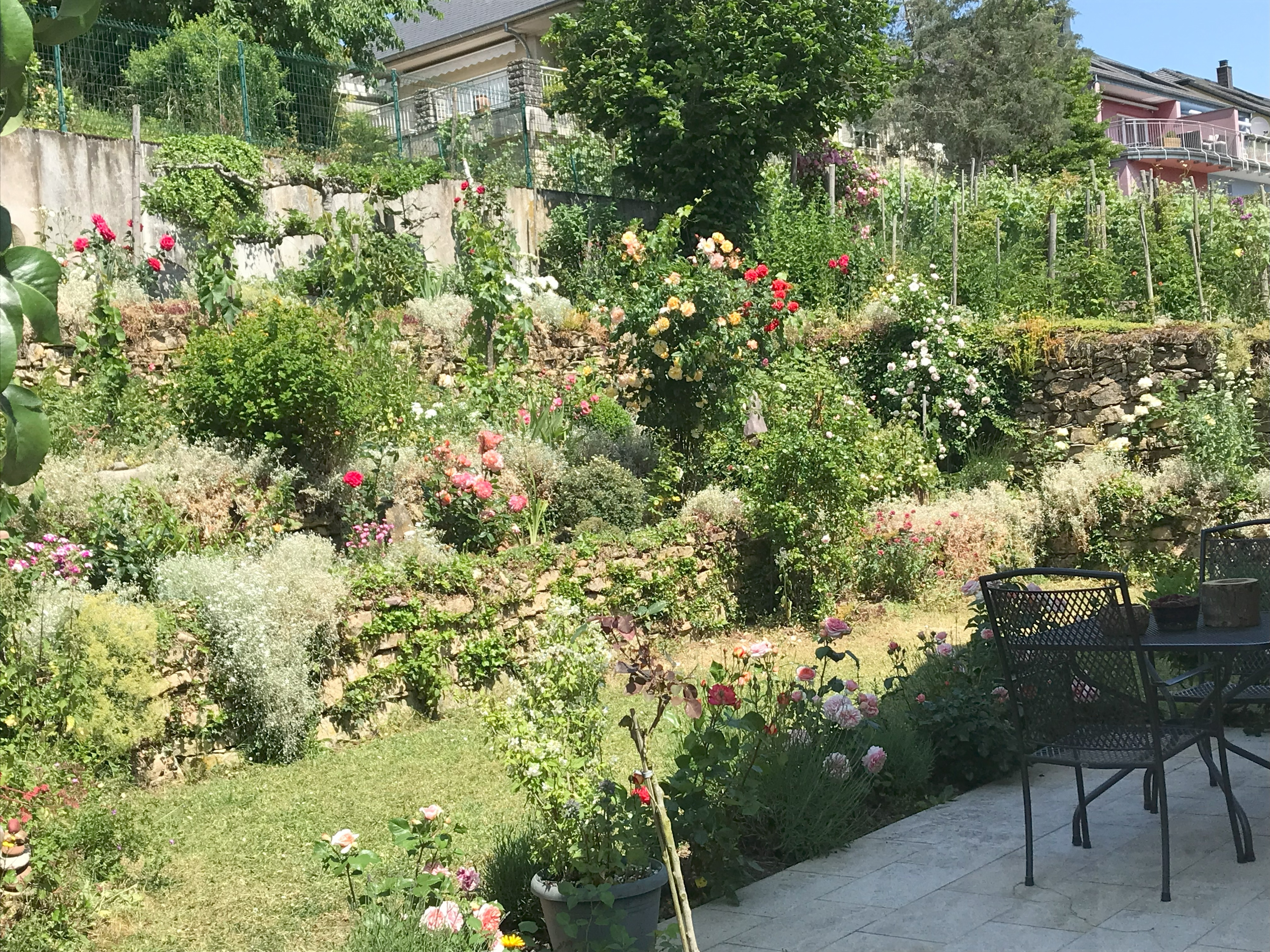 Jardin de Nico Hensgen - Oppe Gaardepäertchen