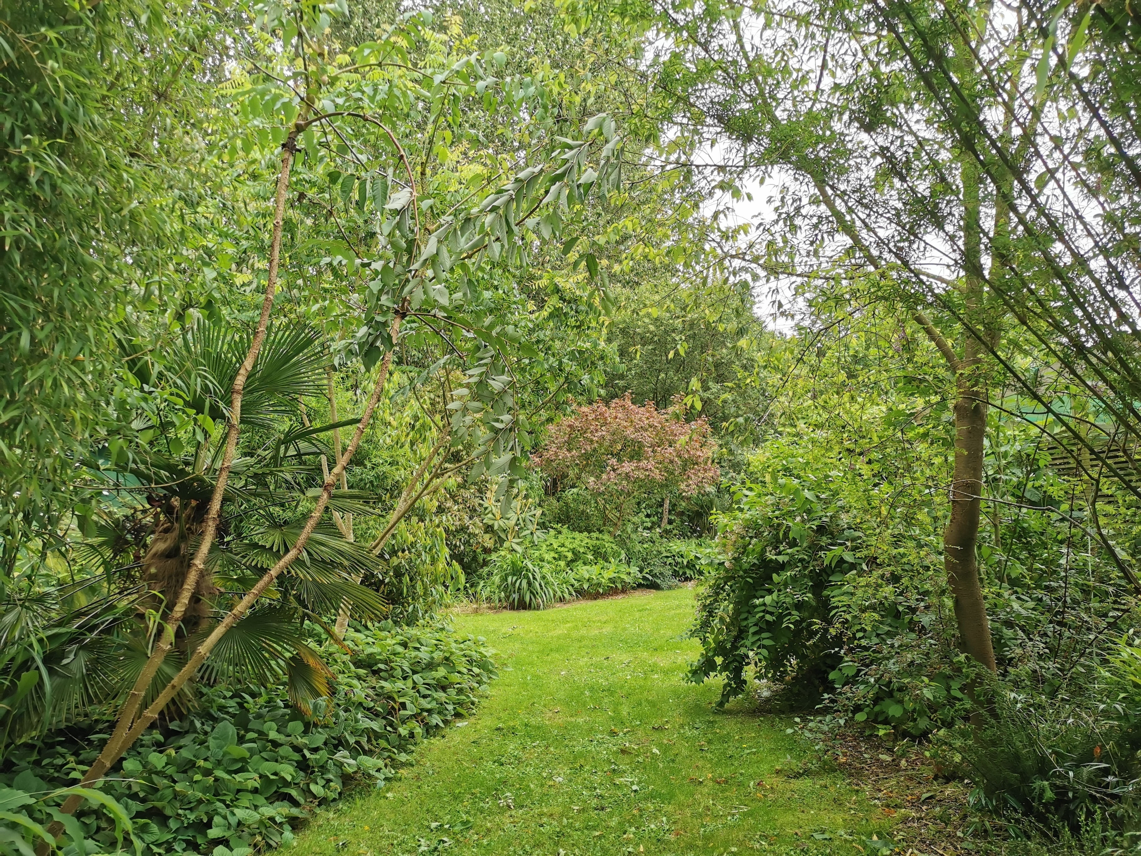 Visite du Jardin Vert'Tige