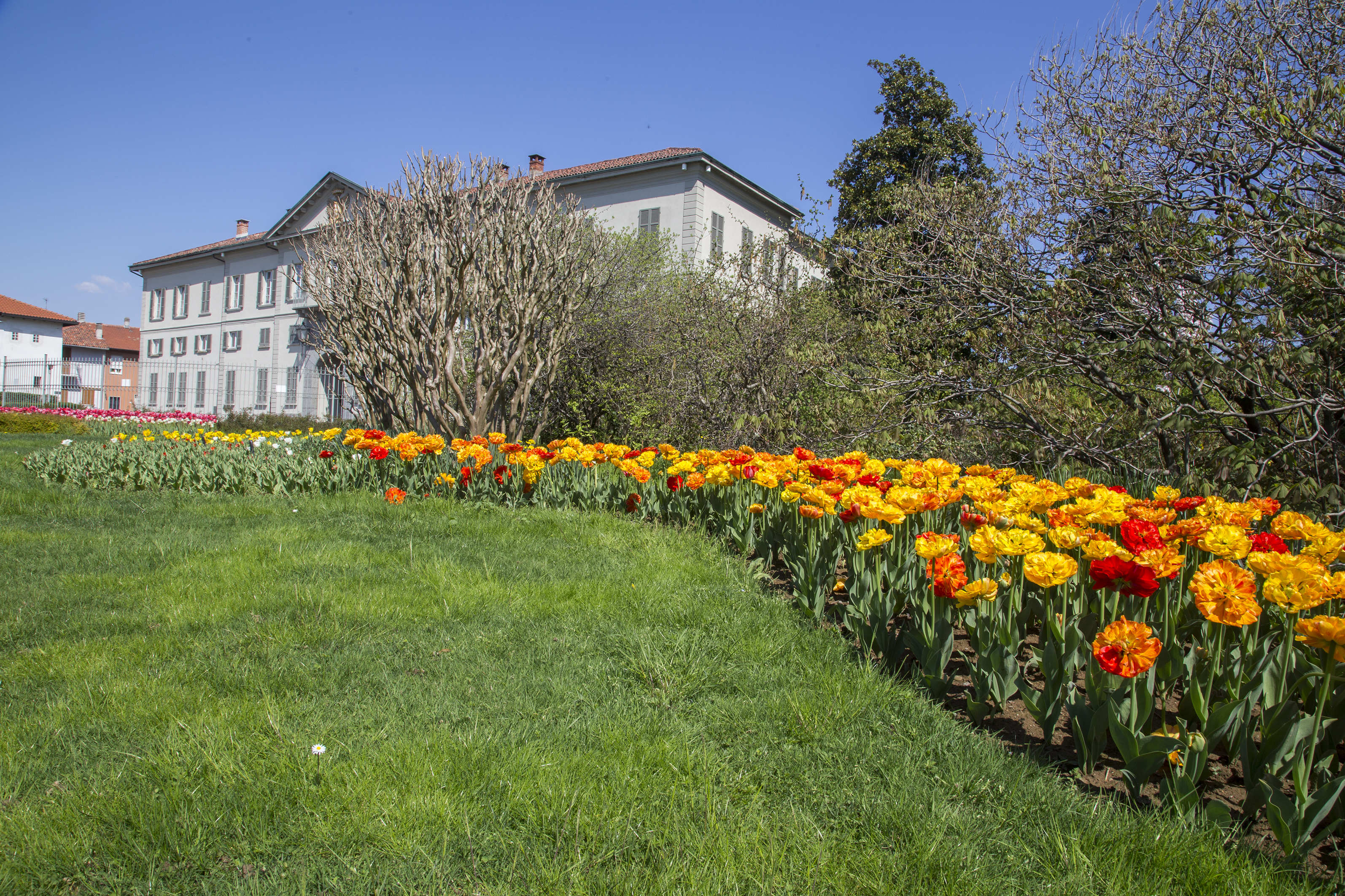 Visite du jardin de la Villa Raimondi Fondation Minoprio ITS Académie